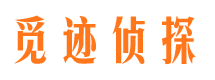 新安市私家侦探